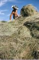 FreeHippie 